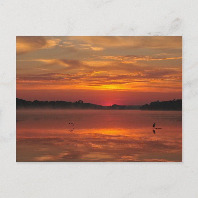 Precious morning, orange sunrise at the lake postcard (Front)