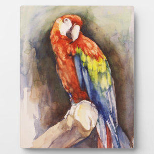 Precious Parrot Plaque