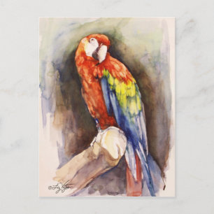Precious Parrot Postcard