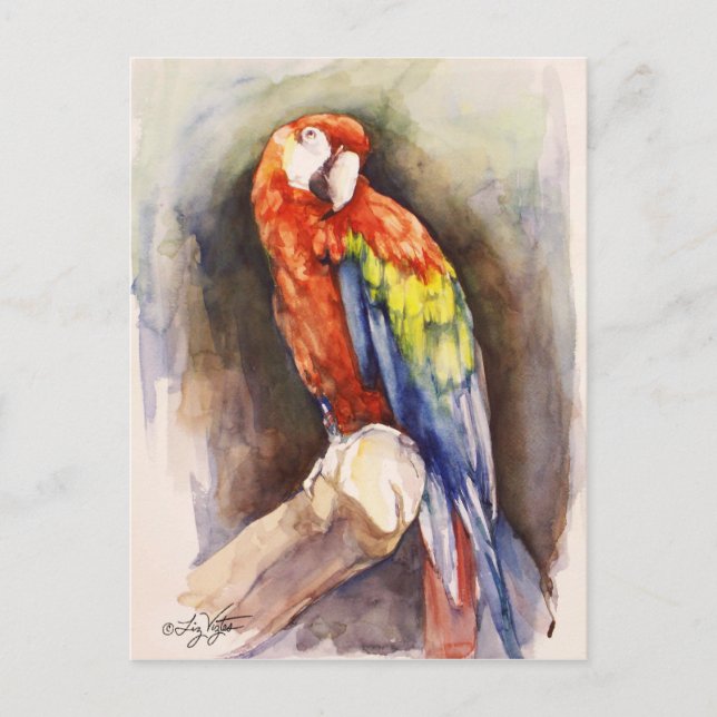 Precious Parrot Postcard (Front)