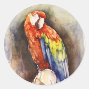 Precious Parrot Sticker