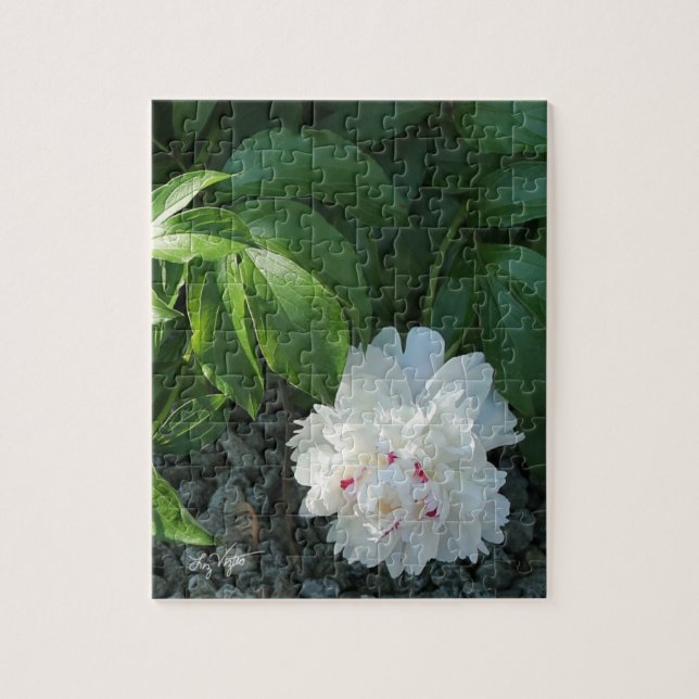 Precious Peony Puzzle (Vertical)