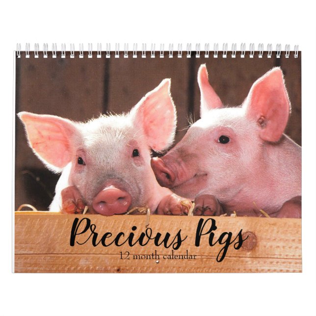 Precious Pigs 2026 Calendar (Cover)