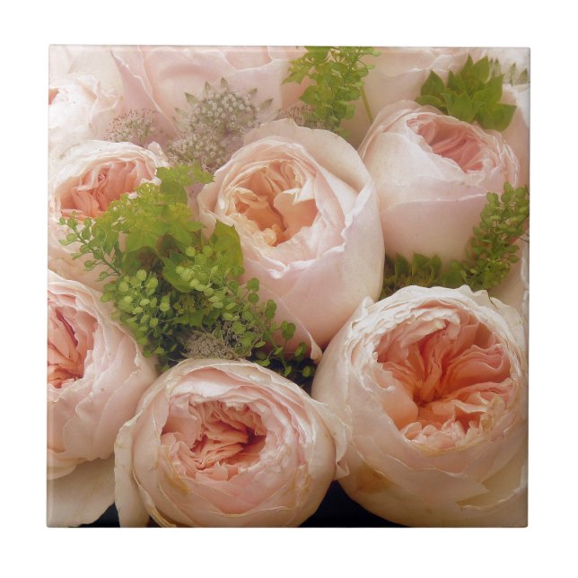 Precious Pink Roses Tile (Front)