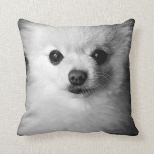 Precious Pomeranian Pillow