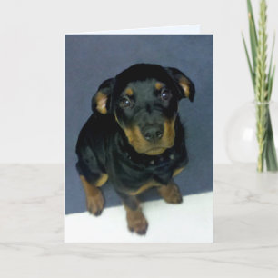Precious Rottweiler Puppy Blank Greeting Card