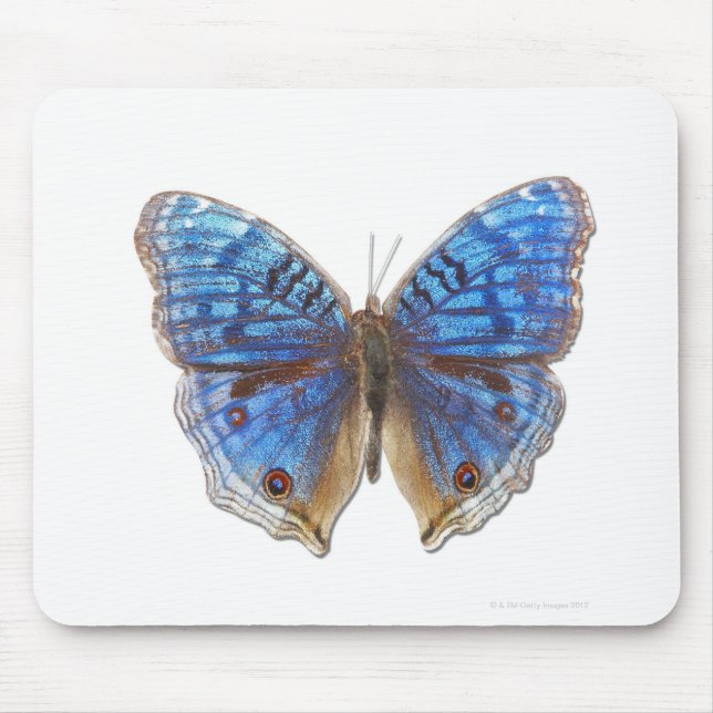 Precis rhadama mouse pad (Front)