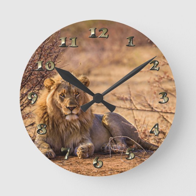 Predator Lion in South Africa Round Clock (Front)