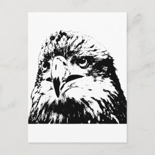 predator postcard