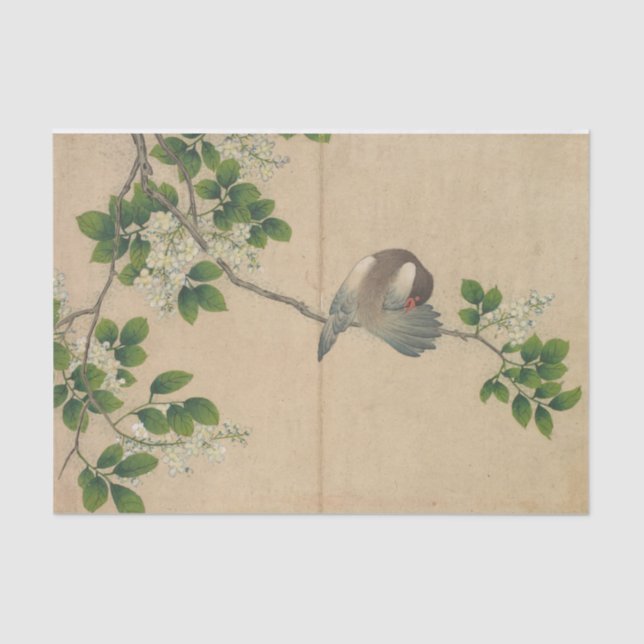 Preening Bird by Zhang Ruoai Tissue Paper (Front)