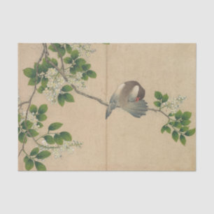 Preening Bird by Zhang Ruoai Tissue Paper