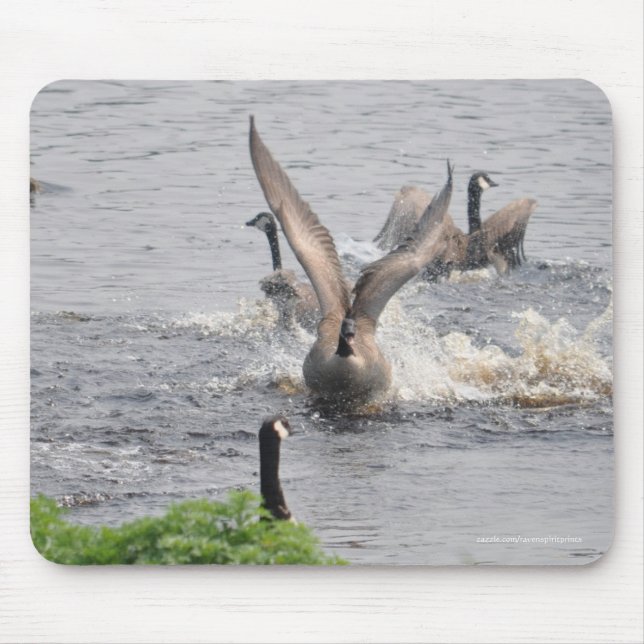 Preening Canada Geese & Water Wildlife Mouse Pad (Front)