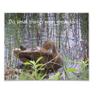 Preening Duck Among The Rushes. Photo Print