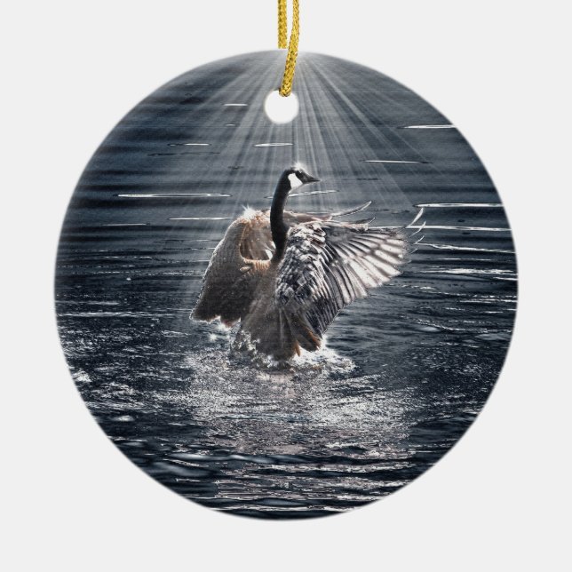 Preening, Flapping Canada Goose Photo Ceramic Tree Decoration (Front)