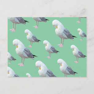 Preening Gull Pattern, Sketched Style on Green. Postcard
