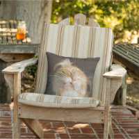 Preening Maine Coon Close Up Photograph