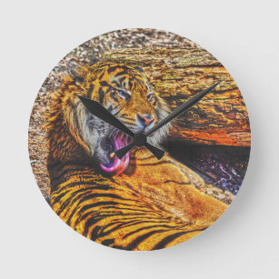 Preening Sumatran Tiger Big Cat Wildlife Art Round Clock