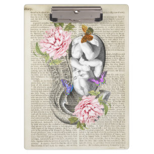 Pregnancy Anatomy Baby in Womb Clipboard