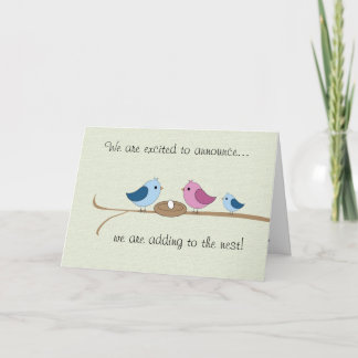 Pregnancy Announcement Filling the Nest Family