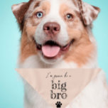 Pregnancy Announcement Pet Bandanna | Big Bro Beig<br><div class="desc">Small or large,  this pet bandanna can be used for dogs or cats. Minimal,  modern,  and customisable with your pet's name. 
What's cuter than announcing a pregnancy than with your fur child 🥰
All text is customisable ↣ just click the ‘Personalise’ button.</div>