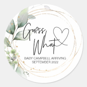 Pregnancy Announcement Reveal Guess What Baby Classic Round Sticker