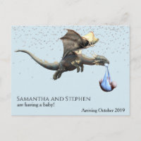 Pregnancy New Baby Arrival Dragon Stork