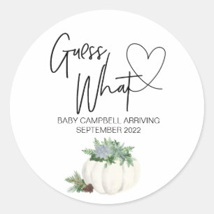 Pregnancy Reveal Guess What Baby Thanksgiving Classic Round Sticker
