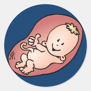Pregnant - Pregnancy Classic Round Sticker