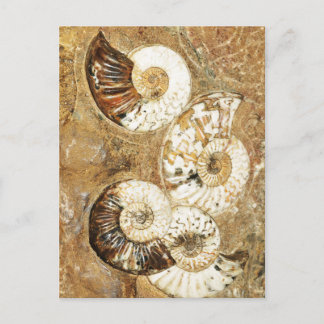 Prehistoric background with fossil shells postcard
