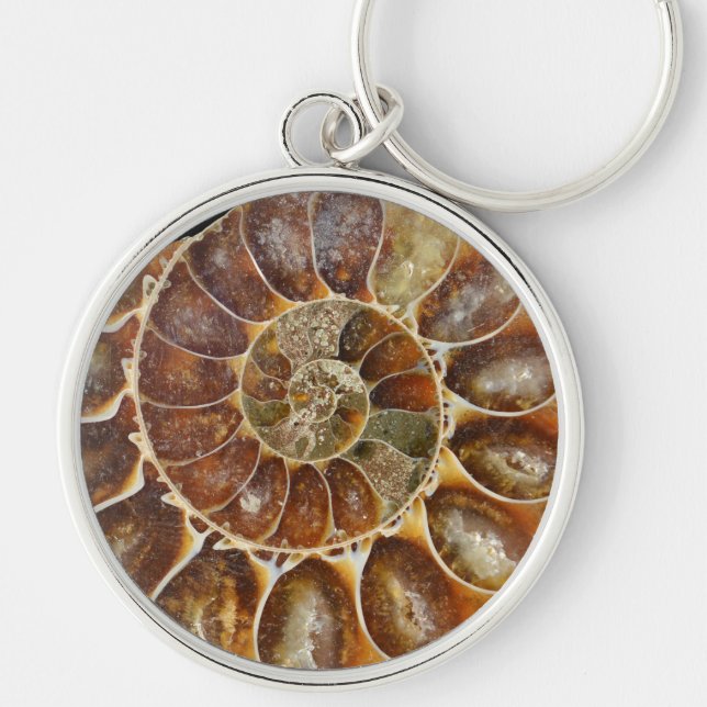 prehistoric fossil snail shell black animal nature key ring (Front)