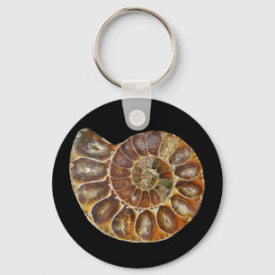 prehistoric fossil snail shell black animal nature key ring