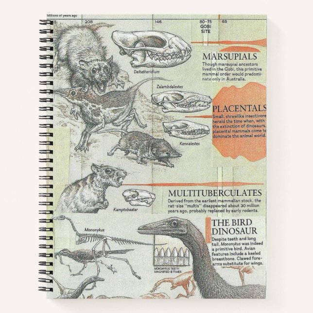 Prehistoric Notebook (Front)