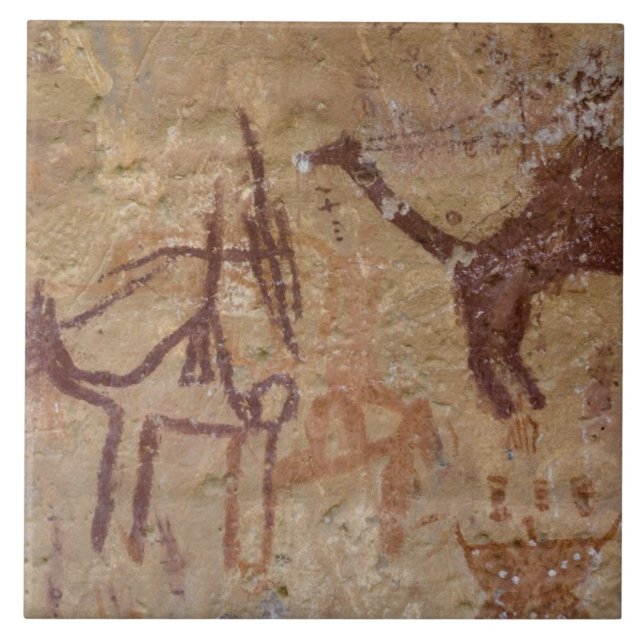 Prehistoric rock paintings with camels and tile (Front)