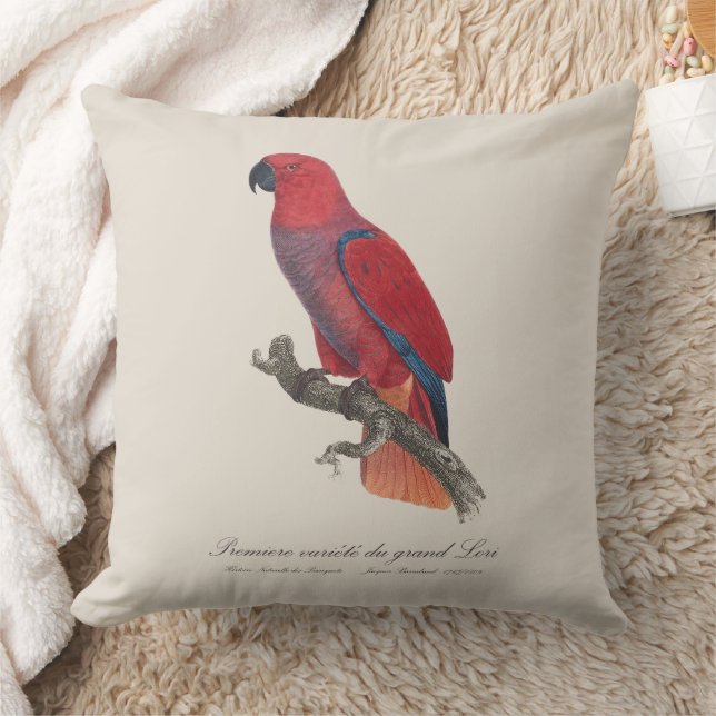 Premiere variete du grand Lori / Eclectus parrot  Cushion (Blanket)
