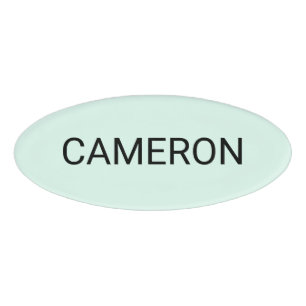 Premium Acrylic Oval Name Tag Magnetic Mint Green