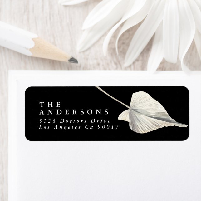 Premium Black Onyx Pampas Grass Tropical Address (Insitu)