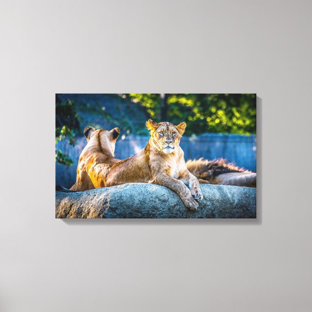 Premium Giclee-wrapped canvas (Front)