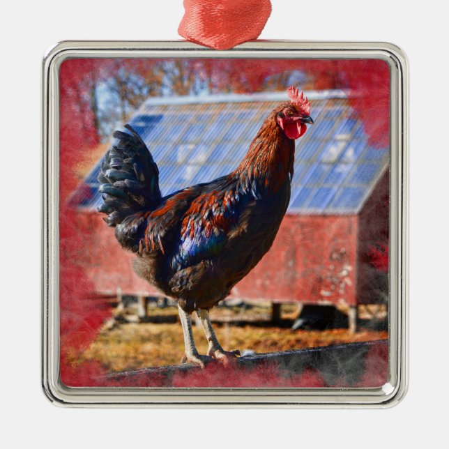 Premium Metal Ornament with Rooster in barnyard (Front)