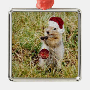 Premium  Ornament w/ prairie dog
