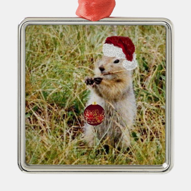 Premium  Ornament w/ prairie dog (Front)