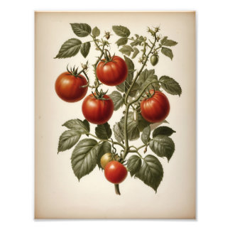 Premium Satin Photo Paper Photo Enlargement Print