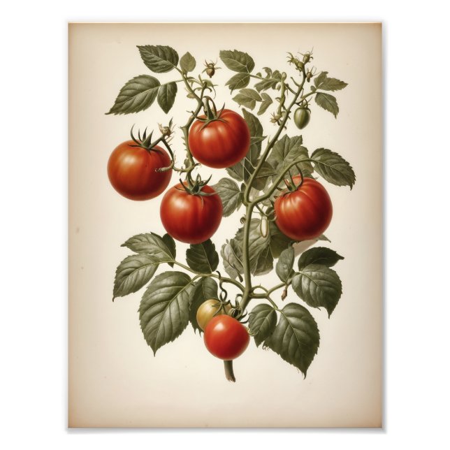 Premium Satin Photo Paper Photo Enlargement Print (Front)