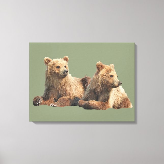 Premium Wrapped Canvas 24x18 of grizzly bears (Front)