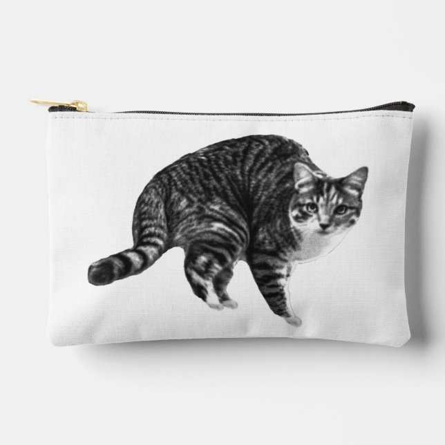 Prep-Light Tabby Pouch (Front)