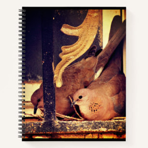 Preparation notebook