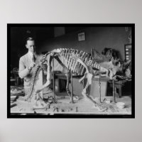 Preparing a Baby Dinosaur Skeleton 1921