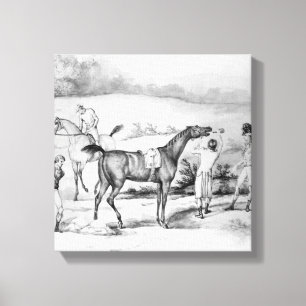 Preparing for a Race Canvas Print