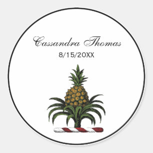 Preppy Heraldic Pineapple Crest Colour RWT Classic Round Sticker