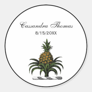 Preppy Heraldic Pineapple Crest Colour WT Classic Round Sticker