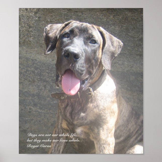 Presa Canario Pup Print (Front)